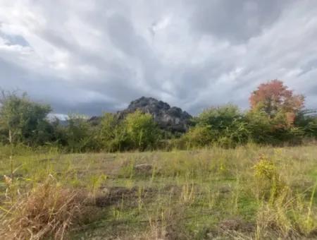 Mugla Dalyan Da Müstakil 15 000 M2, 250 M2 İnşaat Hakkı Olan Arazi Satılık