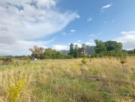 Mugla Dalyan Da Müstakil 15 000 M2, 250 M2 İnşaat Hakkı Olan Arazi Satılık