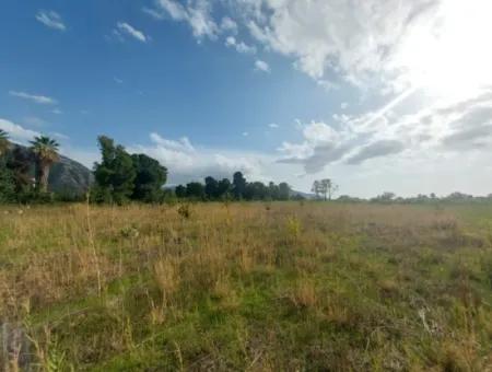 Mugla Dalyan Da Müstakil 15 000 M2, 250 M2 İnşaat Hakkı Olan Arazi Satılık