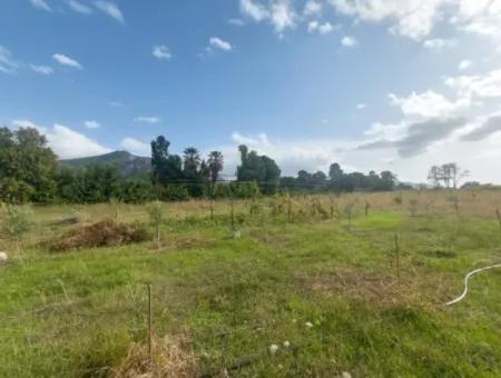 Mugla Dalyan Da Müstakil 15 000 M2, 250 M2 İnşaat Hakkı Olan Arazi Satılık
