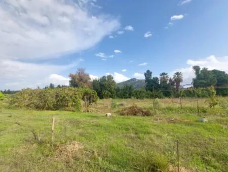 Mugla Dalyan Da Müstakil 15 000 M2, 250 M2 İnşaat Hakkı Olan Arazi Satılık