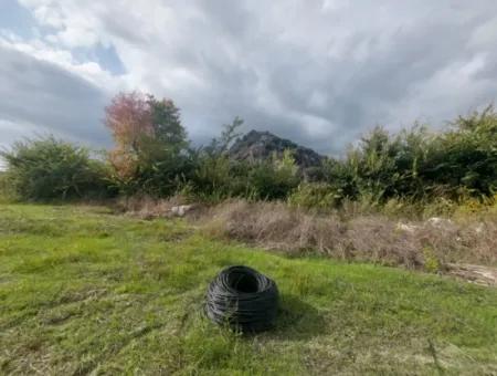 Mugla Dalyan Da Müstakil 15 000 M2, 250 M2 İnşaat Hakkı Olan Arazi Satılık