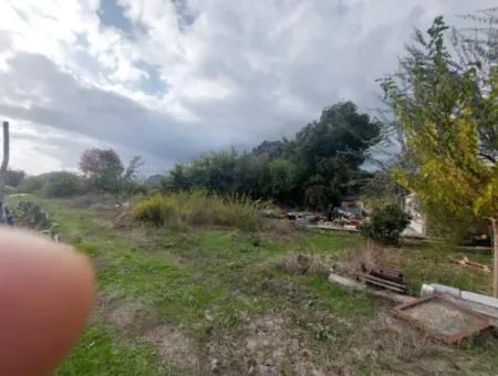 Mugla Dalyan Da Müstakil 15 000 M2, 250 M2 İnşaat Hakkı Olan Arazi Satılık