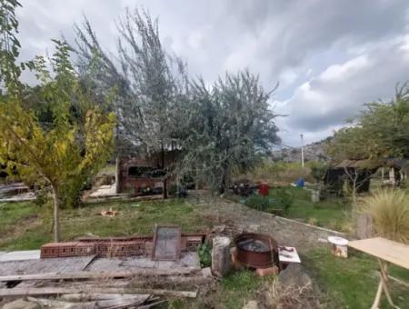 Mugla Dalyan Da Müstakil 15 000 M2, 250 M2 İnşaat Hakkı Olan Arazi Satılık
