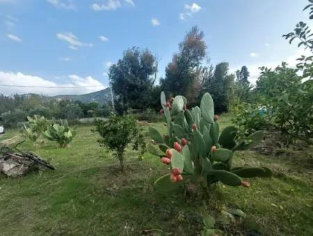 Mugla Dalyan Da Müstakil 15 000 M2, 250 M2 İnşaat Hakkı Olan Arazi Satılık