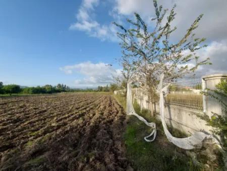 Muğla Ortaca, Dalaklı 2.000 M2, 400 M2 İnşaat Hakkı Olan  Satılık Konut İmarlı Arsa