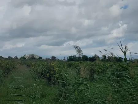 Mugla Dalyan Da 150 M2 İnşaat Hakkı Olan 5.000 M2 Arazi Satılık