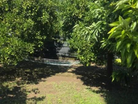 Ortaca Akıncı Sarıgerme Yoluna Sıfır 902 M2 Arsada 2+1, 70 M2 Köy Evi Satılık