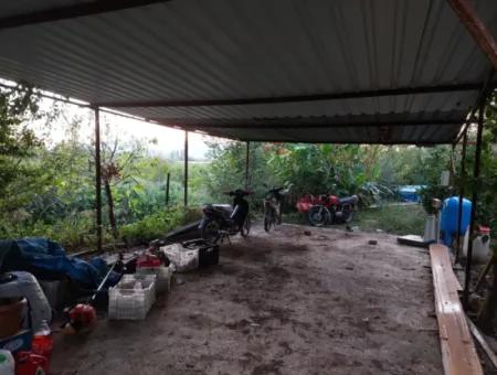 Ortaca Çaylı Da 350 M2 Müstakil Tiny House Uygun Arazi Satılık