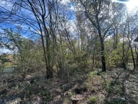 Ortaca Yeşilyurt Da 12 000 M2 Tarla Satılık