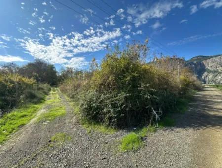 Ortaca Yeşilyurt Da 12 000 M2 Tarla Satılık