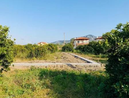 Dalyanda Satılık 830 M2 Kelepir Arsa