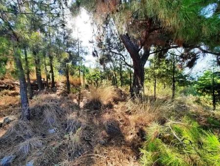 Fethiye Çiftlikköyde Satılık Deniz Manzaralı İmarlı Arsa