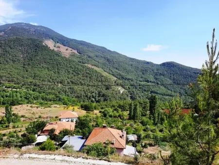 Köyceğiz Yayla, Ağla Köyünde Göl Manzaralı Yatırıma Uygun Müstakil Arazi Satılık